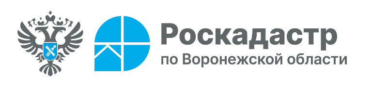 Пресс-служба филиала ППК «Роскадастр» по Воронежской области.