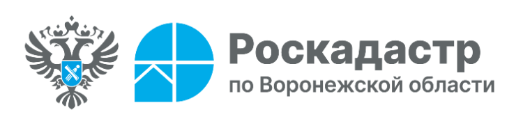 Пресс-служба филиала ППК «Роскадастр» по Воронежской области. Пресс-служба филиала ППК «Роскадастр» по Воронежской области.